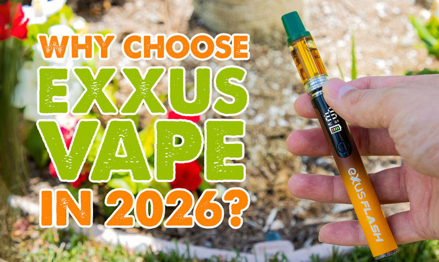Warum Exxus Vape im Jahr 2026 wählen?